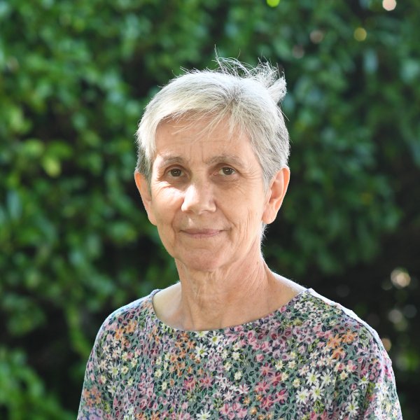 Judy Cook
